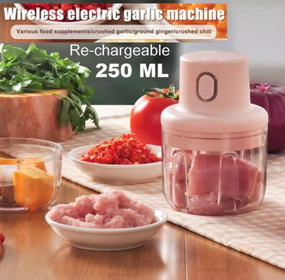 Rechargeable Electric Double Bowl Food Chopper (100 & 250ML)